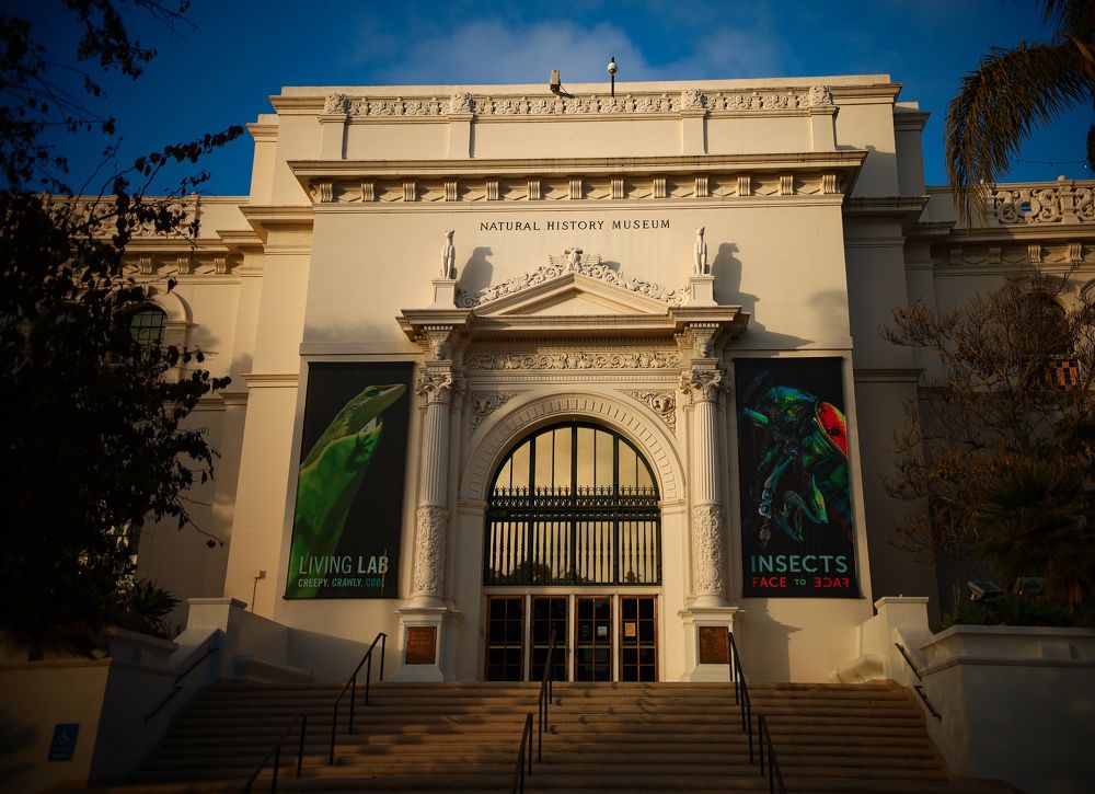 Photograph by Brandon