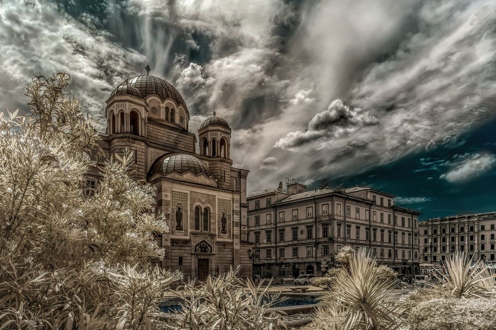 Photograph by Sara Jazbar