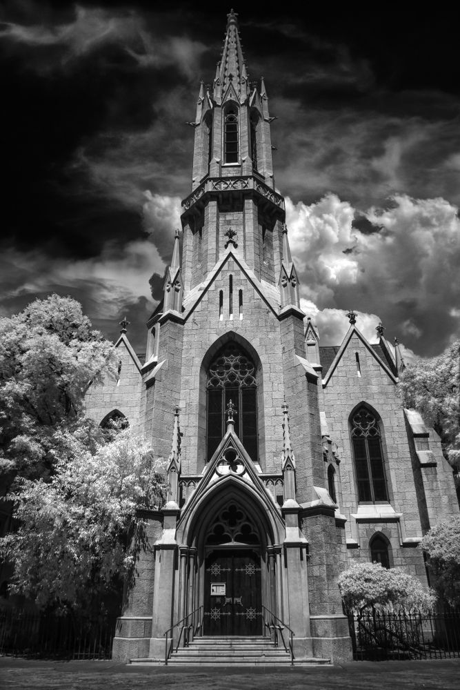 Photograph by Sara Jazbar