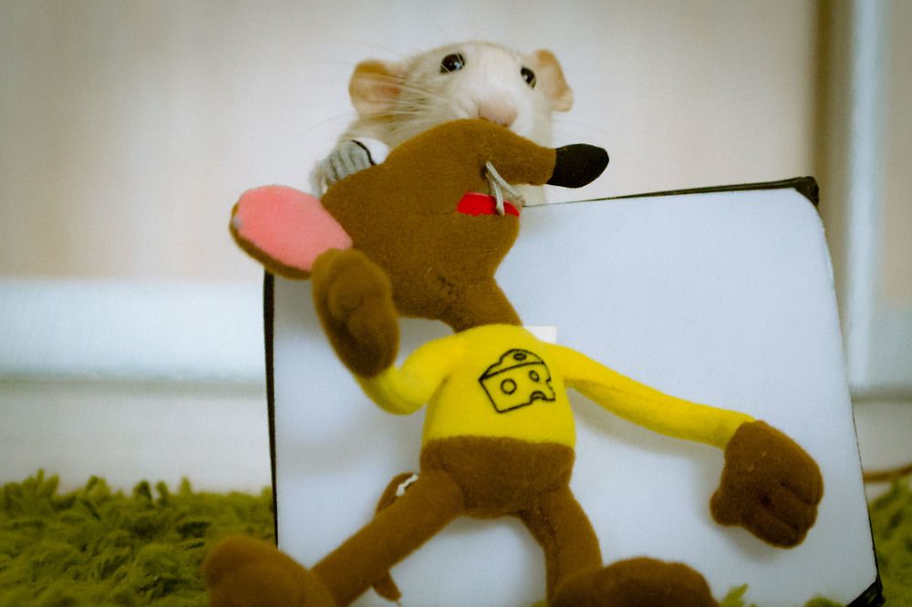 Photograph by Мика Саркисова