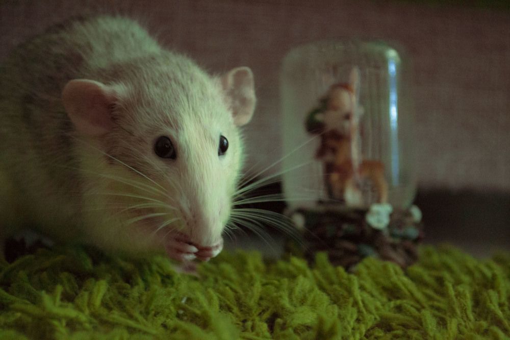 Photograph by Мика Саркисова