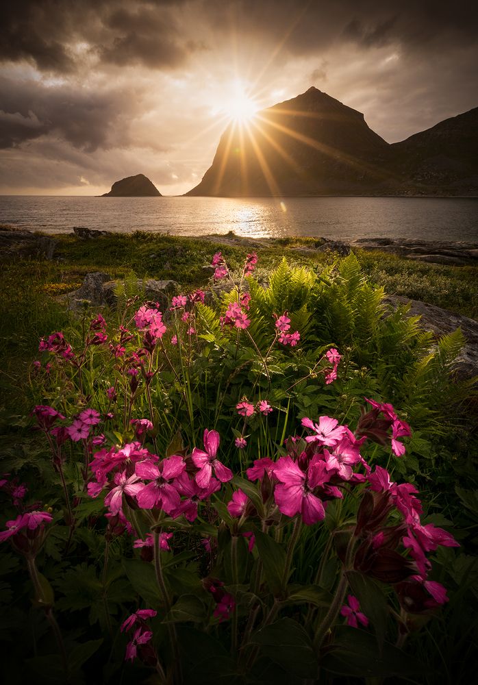 Photograph by Giulio Cobianchi