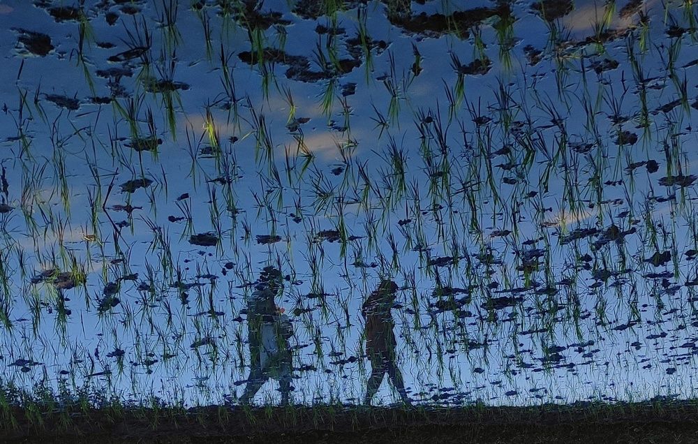 Reflections