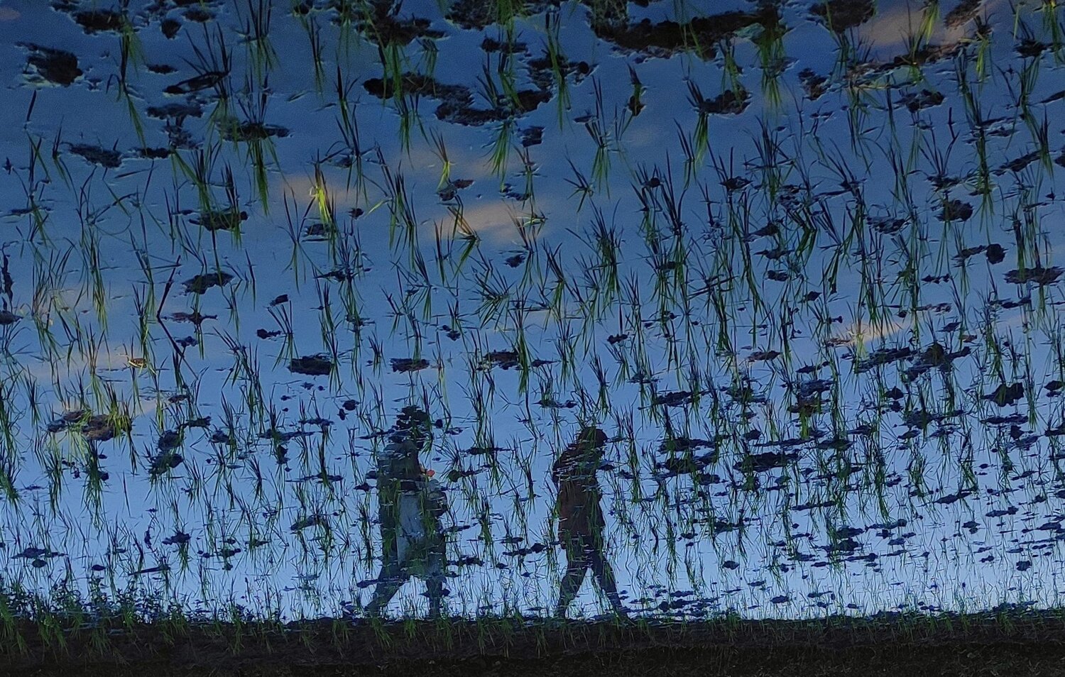 Reflections