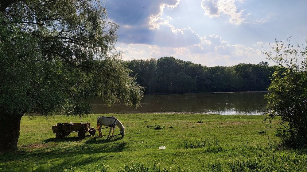 Photograph by Руслан Шулешко