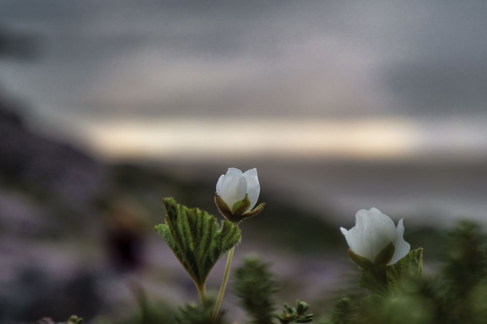 Photograph by Валерия Ушакова