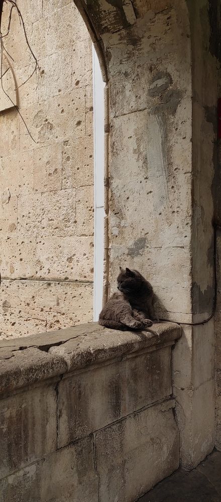 Photograph by Феофилактова Валя