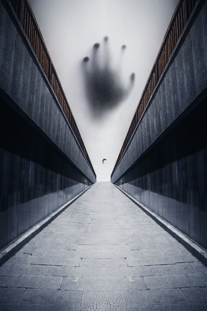 Photograph by Erfan Rasoolimoghadam