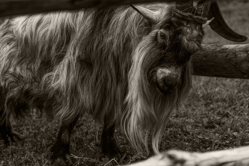 Photograph by Марат Кучкаев