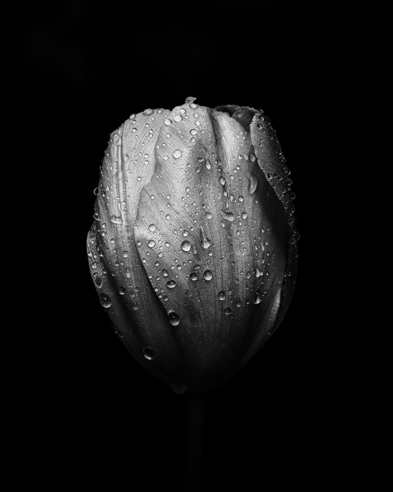 Photograph by Максим Салихов