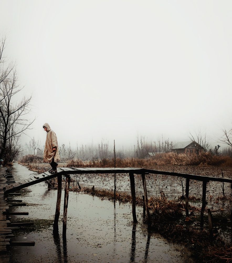Photo #6195066