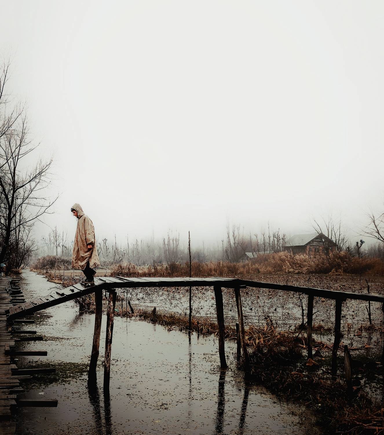 Photo #6195066