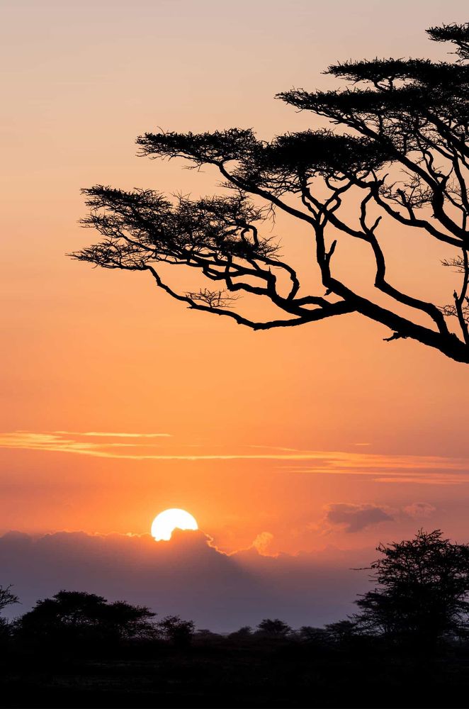 Photograph by Lakshitha Thiwanka