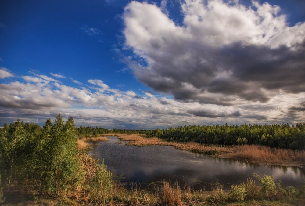 Photograph by Марина Алгаева