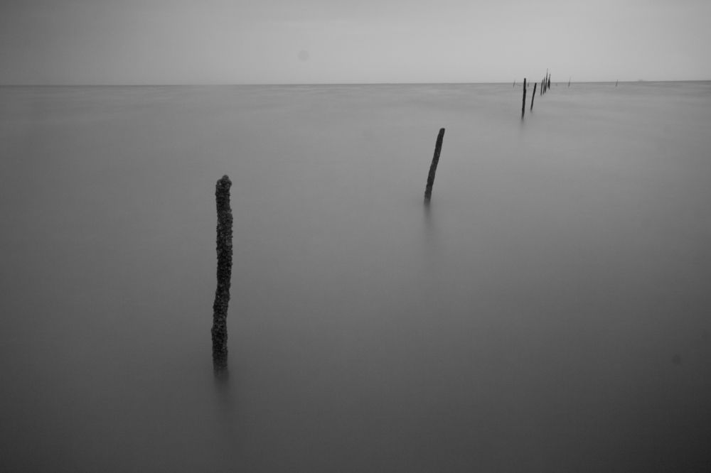 Photograph by Morteza Ghanbari