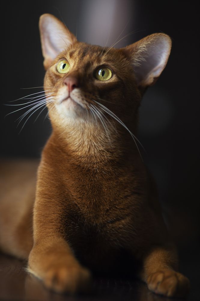 Photograph by Мария Трещева