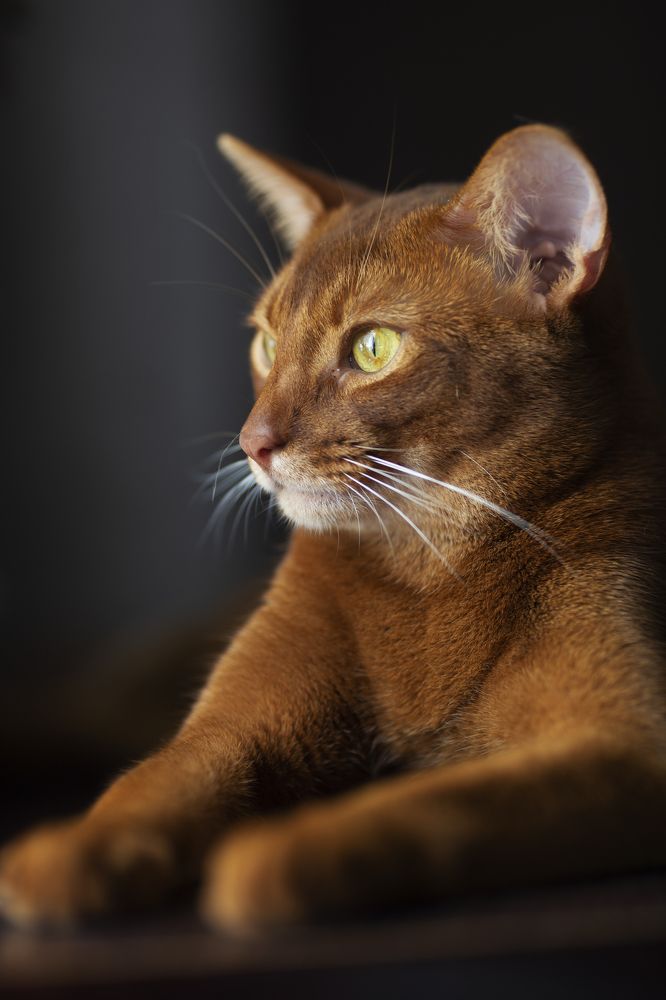 Photograph by Мария Трещева