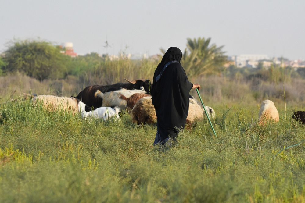 Фотография автора Mohammad