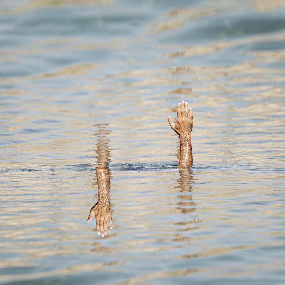 Фотография автора Ebrahim Rahiminezhad