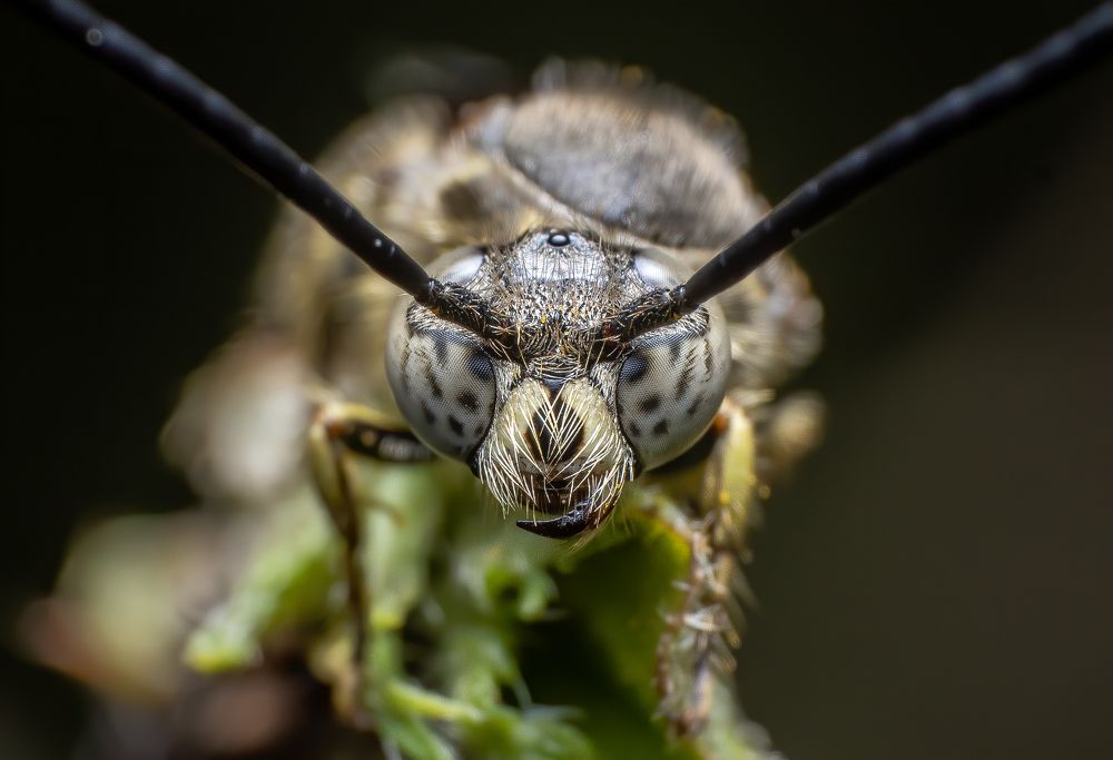 Фотография автора Kiran KV