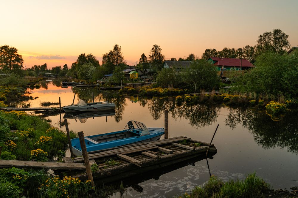 Сон Ваганихи