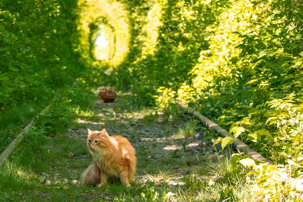 Photograph by Валерий Шорохов