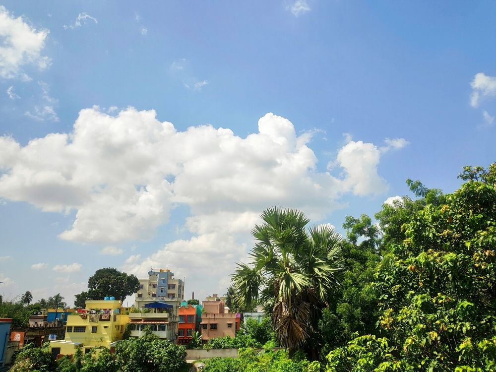 Photograph by Rashmi Roy