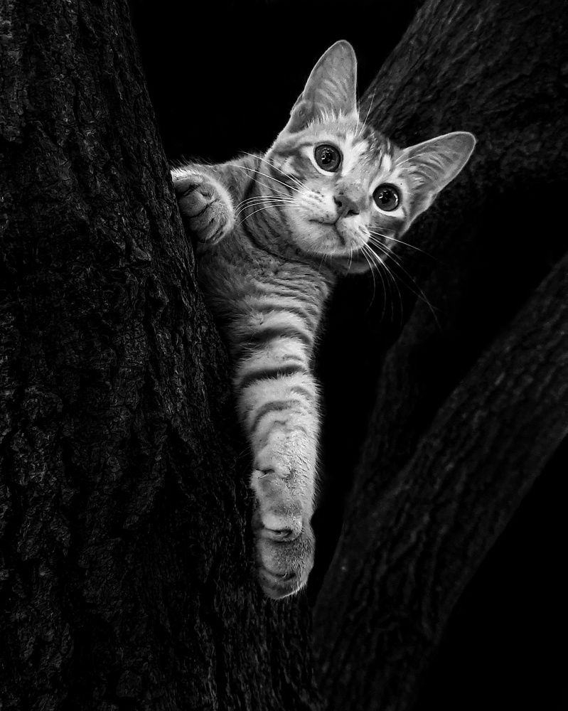 Photograph by sagar pavale