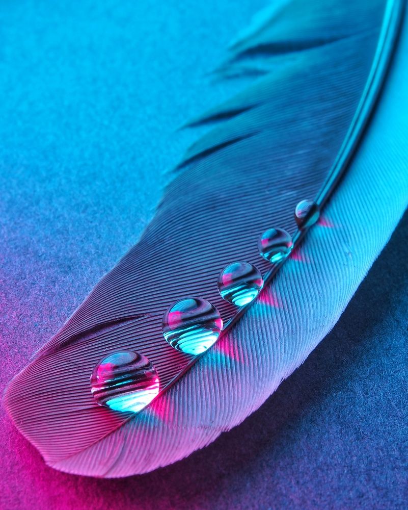 Photograph by Mohammad Sadegh Rezaei