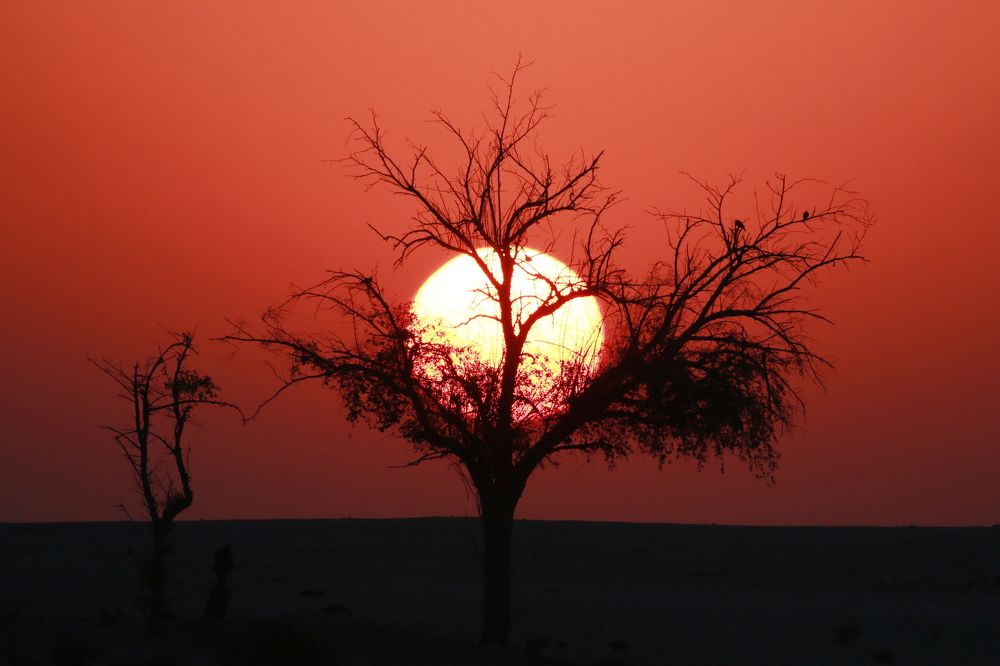 Photograph by Nijas Mohamed