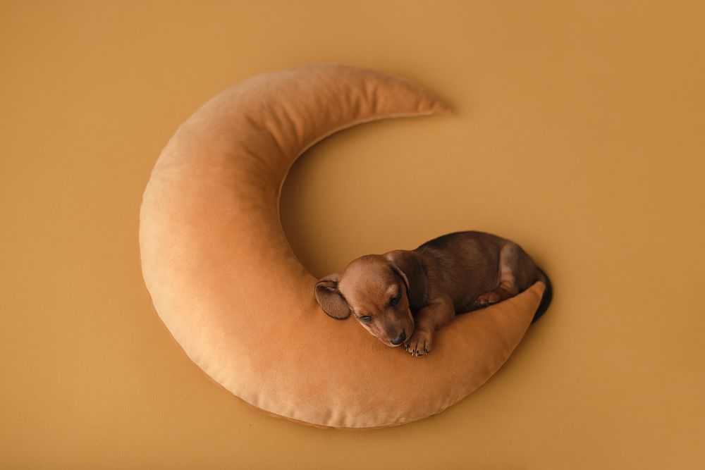 Photograph by Ольга Гладенко