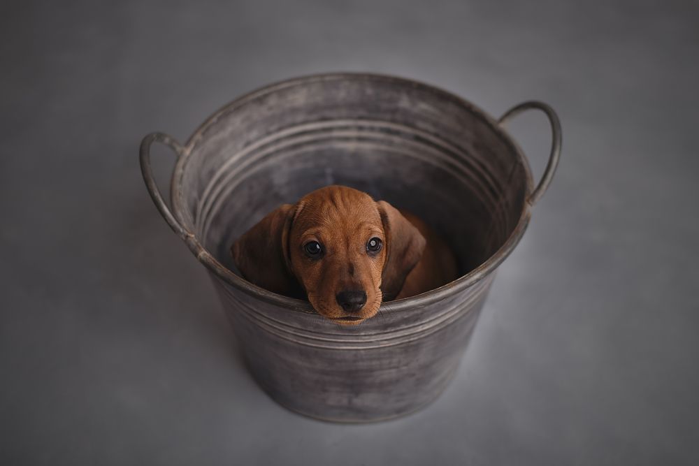 Photograph by Ольга Гладенко