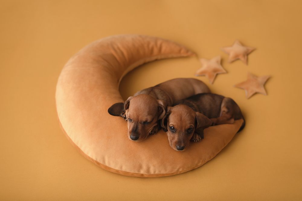 Photograph by Ольга Гладенко