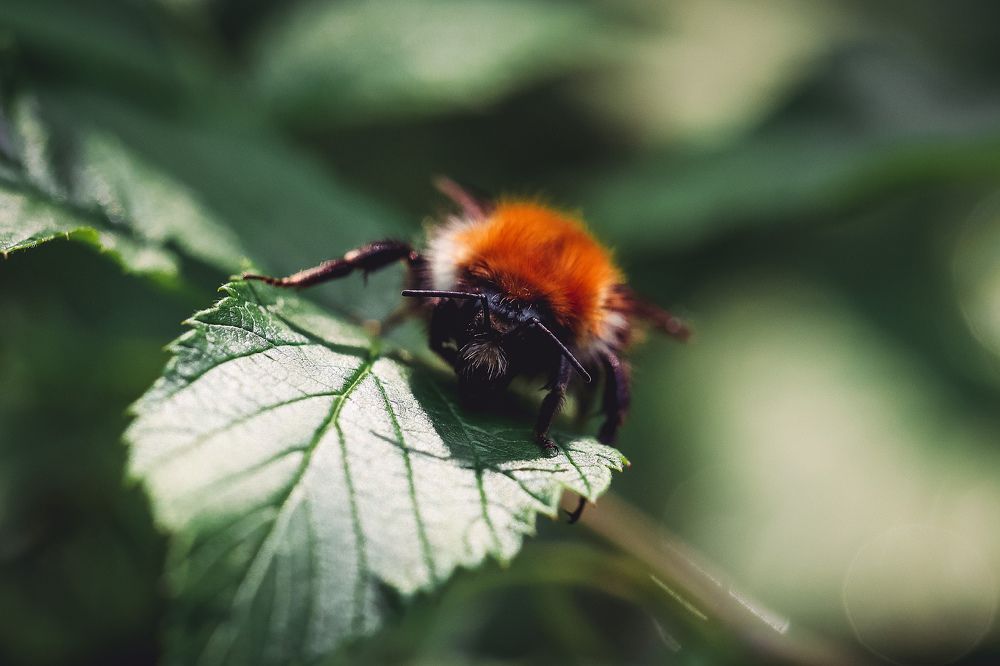 Photograph by Белицкая Наталия