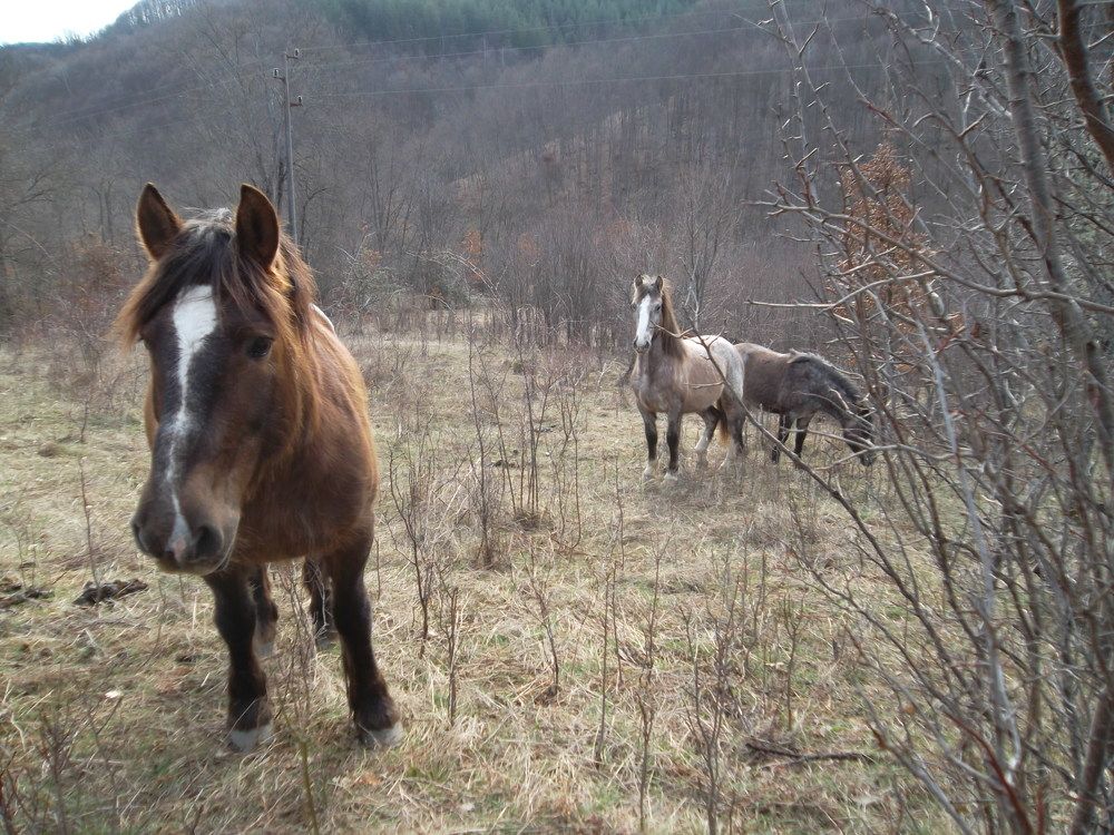 Photograph by Olga Vatkova