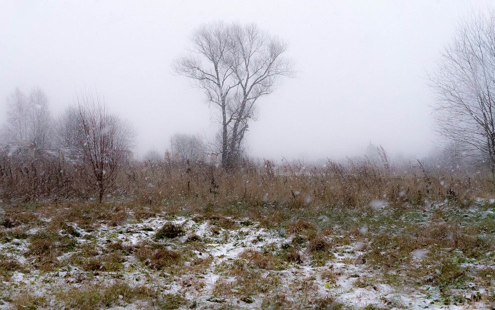 Photograph by Николай Камзолкин