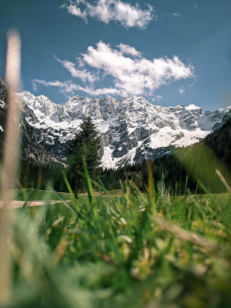 Photograph by Jernej Tratnik