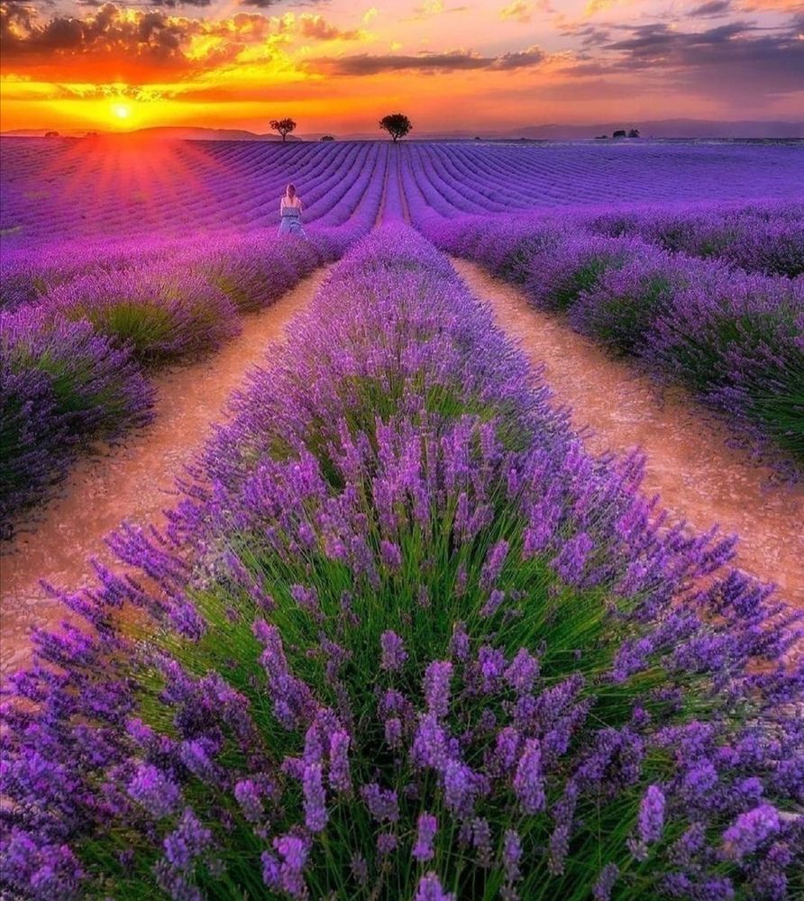 Photograph by Anna Kirilova