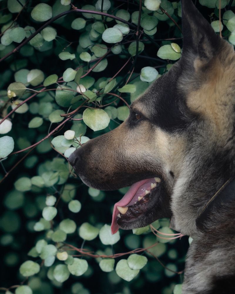 Photograph by Natasha Efanova