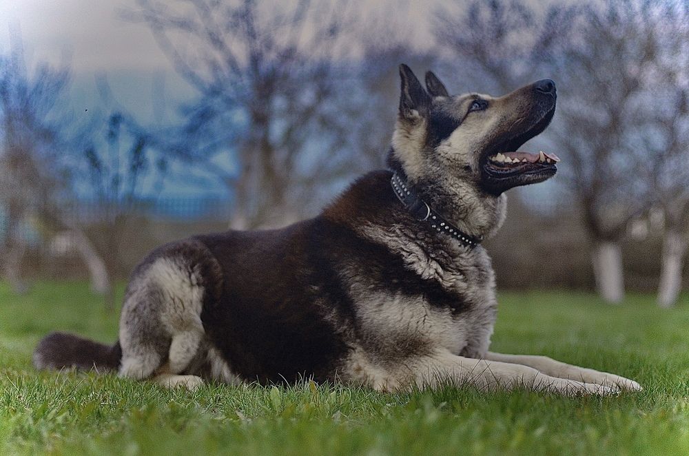 Photograph by Natasha Efanova