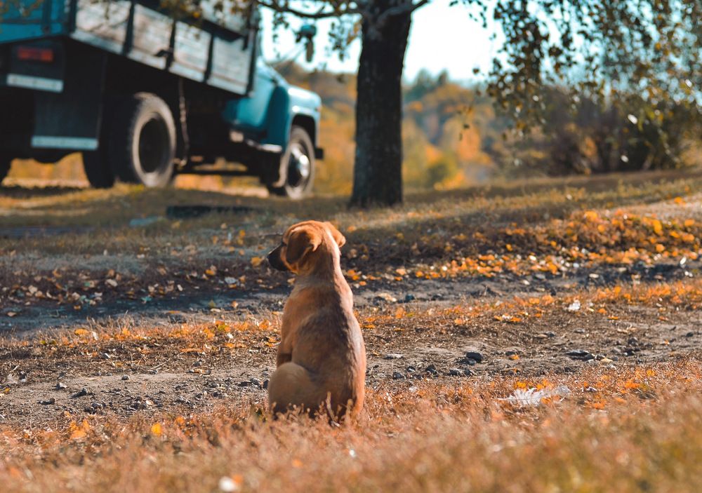 Photograph by Natasha Efanova