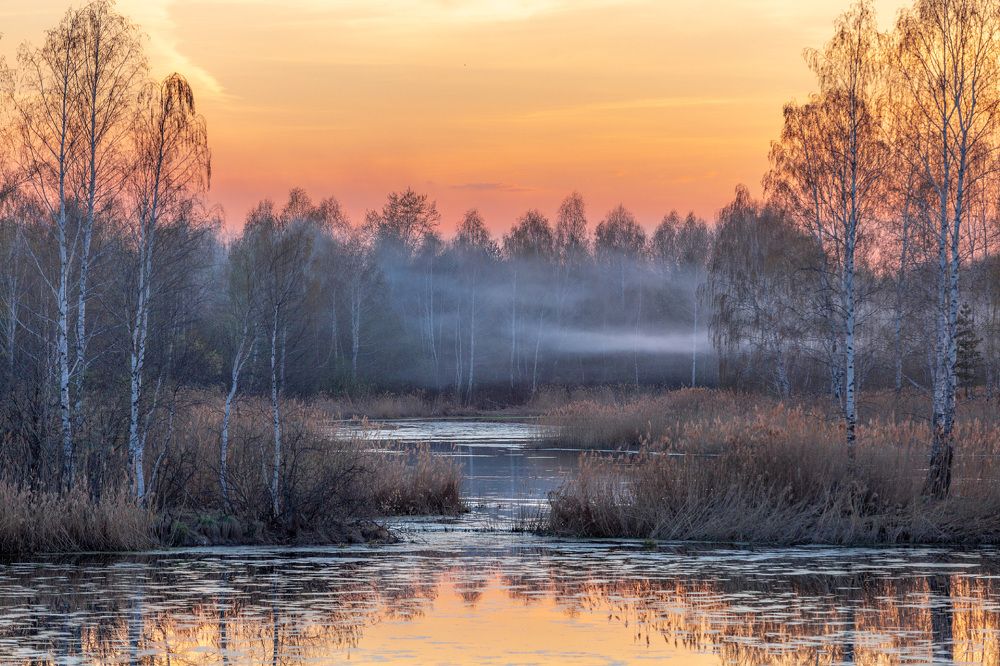 Photograph by Алексей Егорычев