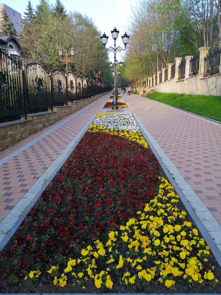 Photograph by Anna Kirilova