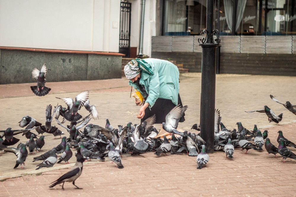 Photograph by Максим Маханов