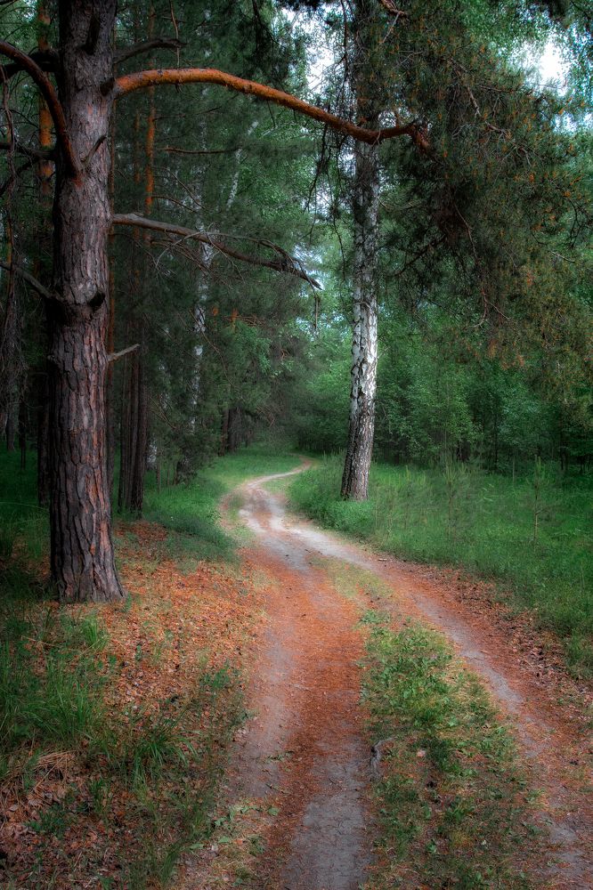 Photograph by Алексей Егорычев