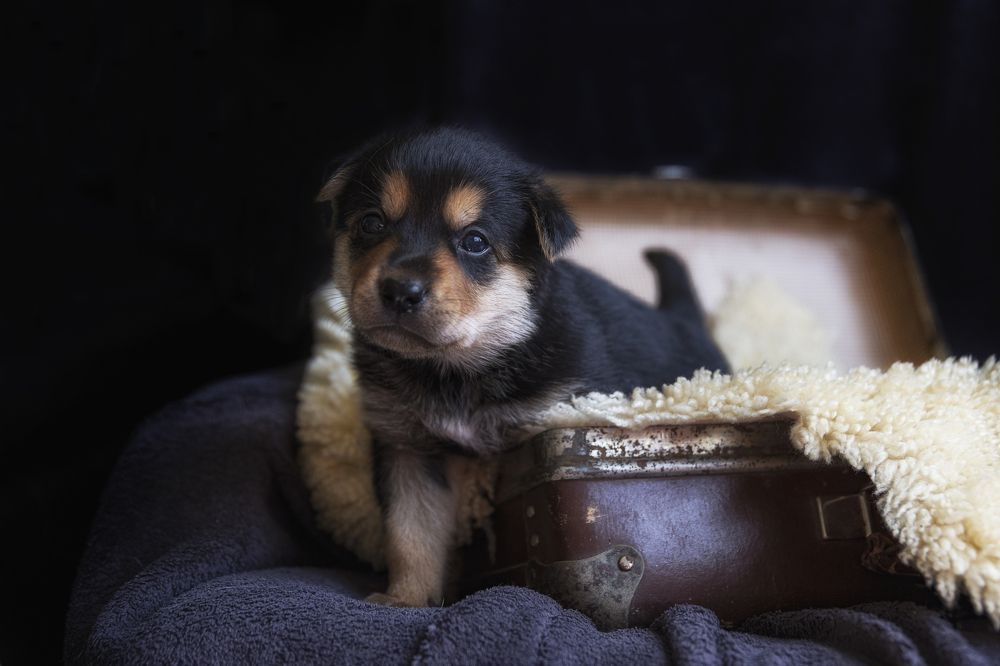 Photograph by Guna Andersone