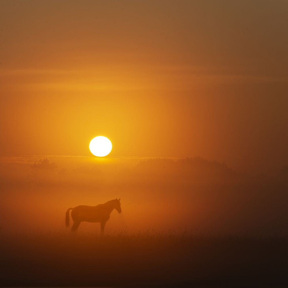 Photograph by Guna Andersone