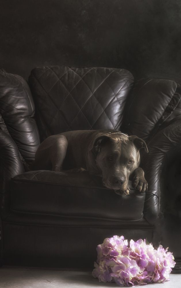 Photograph by Guna Andersone