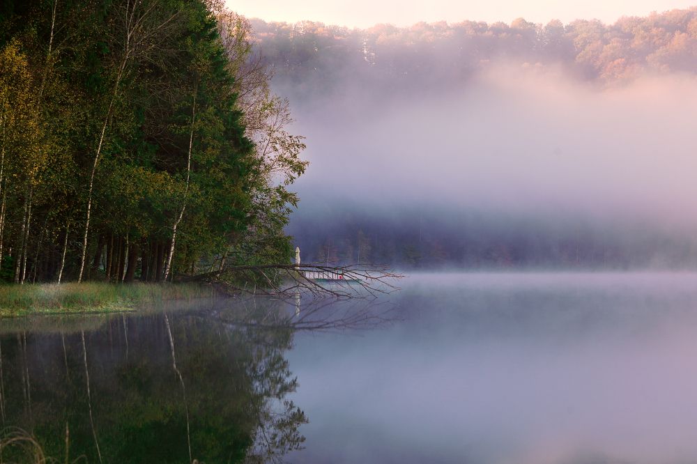 Photograph by Gabriela Vochescu