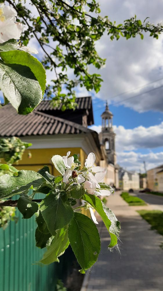 Photograph by Ольга Новоселова